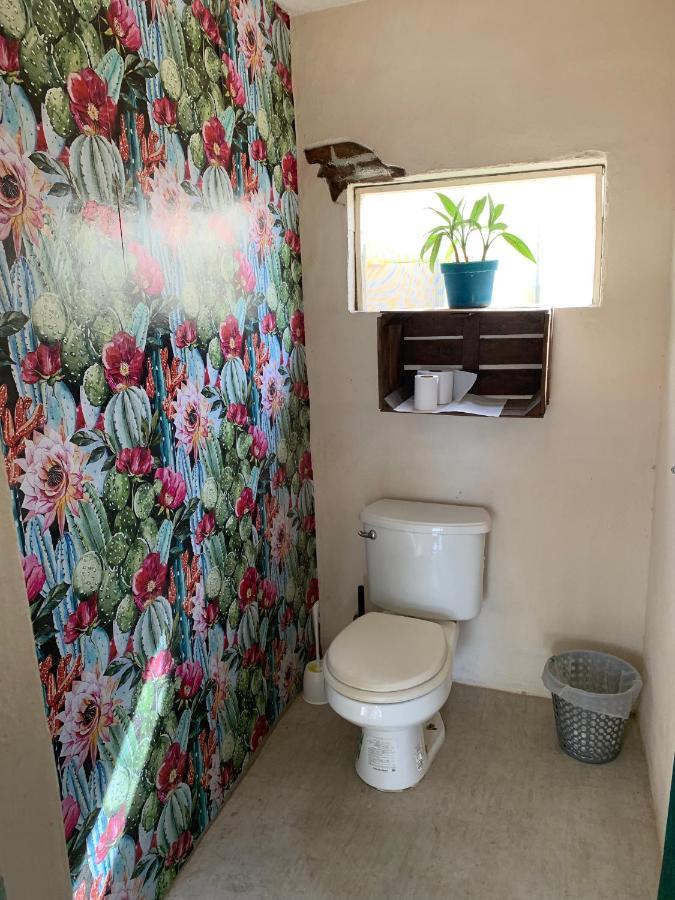 Desert Heart Hostel San José del Cabo Εξωτερικό φωτογραφία