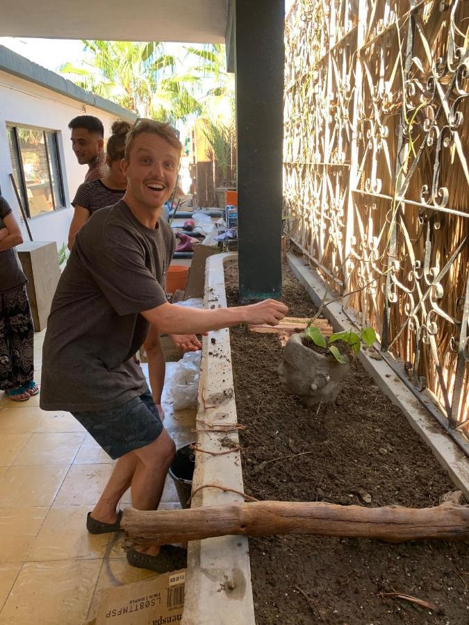 Desert Heart Hostel San José del Cabo Εξωτερικό φωτογραφία