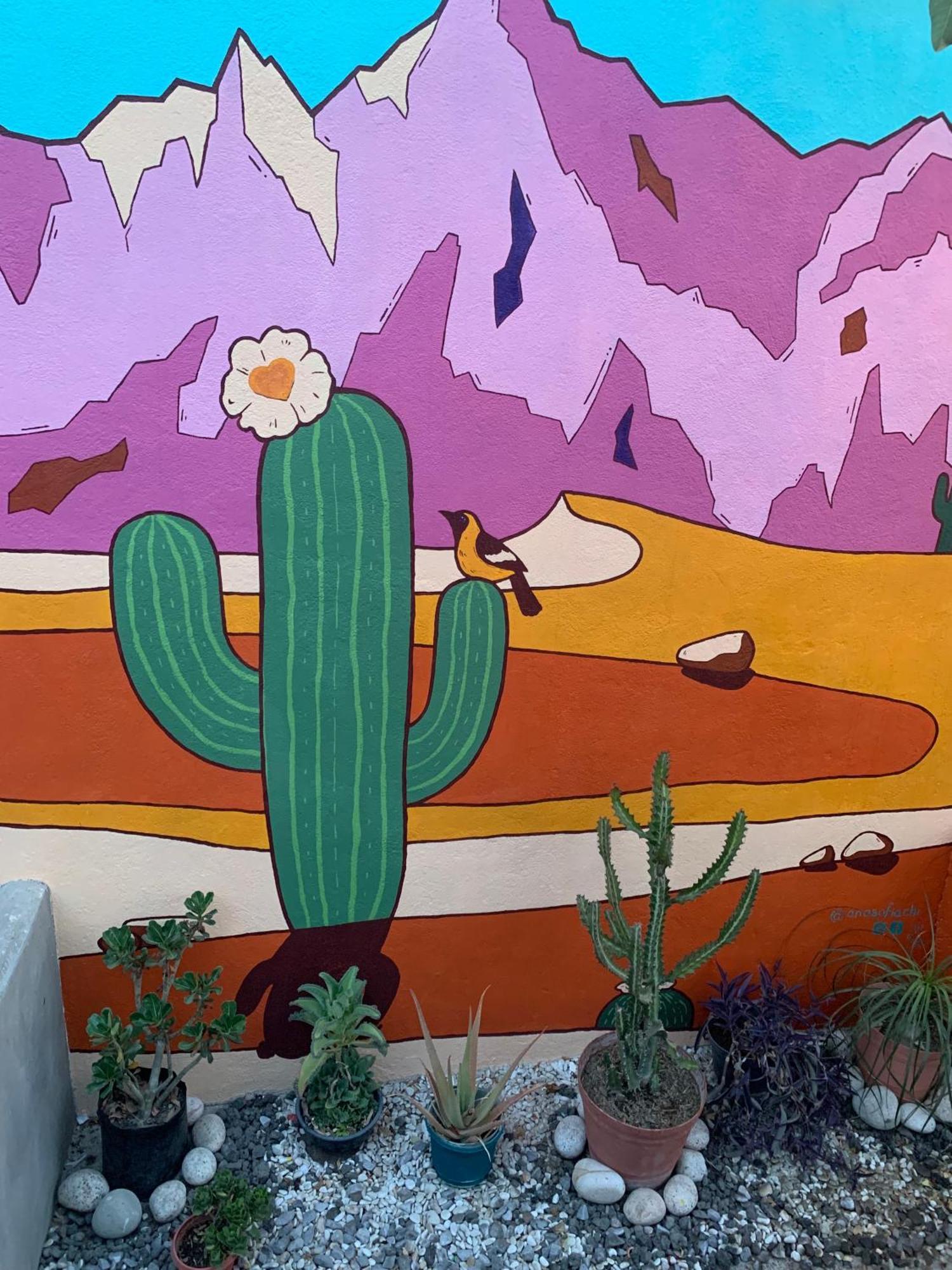 Desert Heart Hostel San José del Cabo Εξωτερικό φωτογραφία
